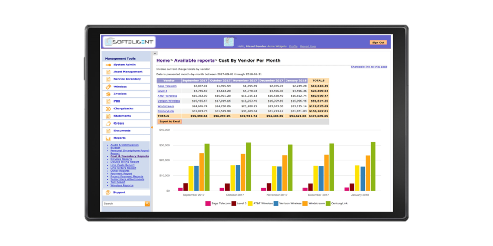 screenshot of Softeligent