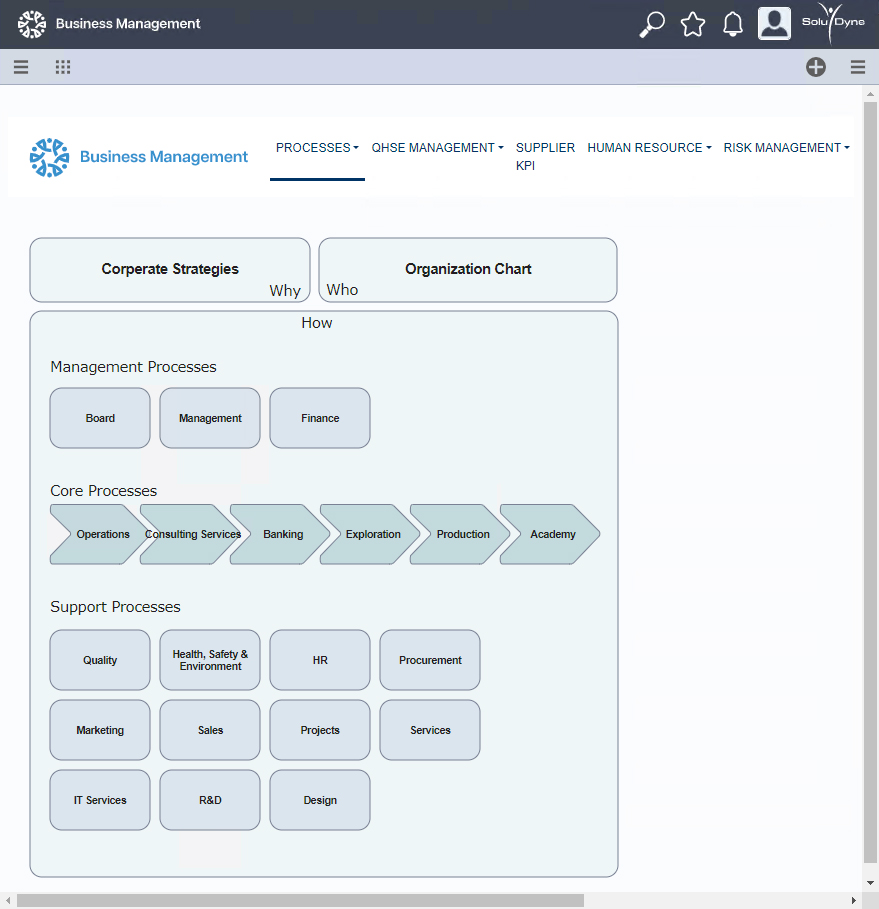 screenshot of SoluDyne