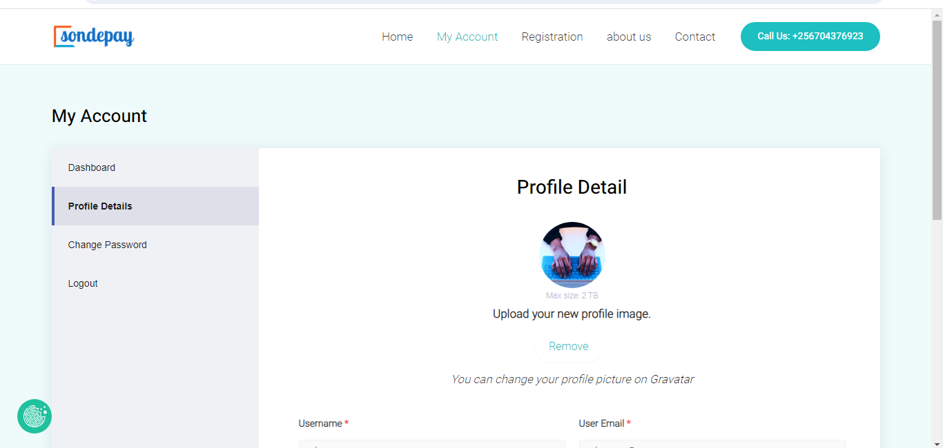 screenshot of Sondepay