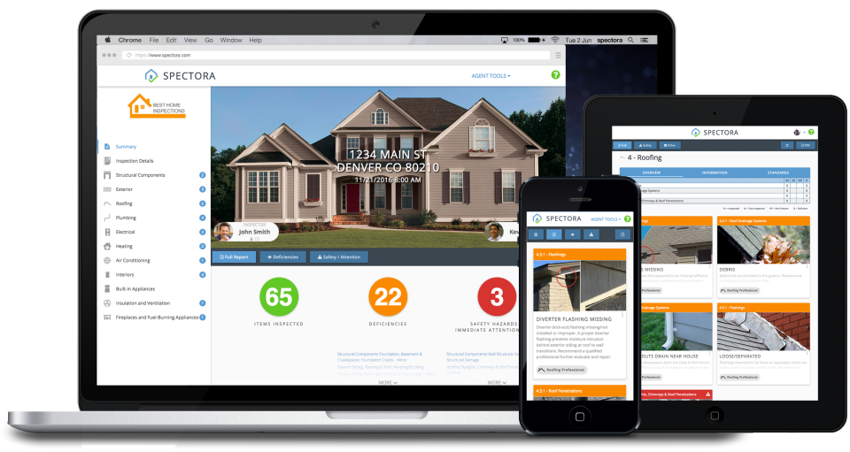 screenshot of Spectora