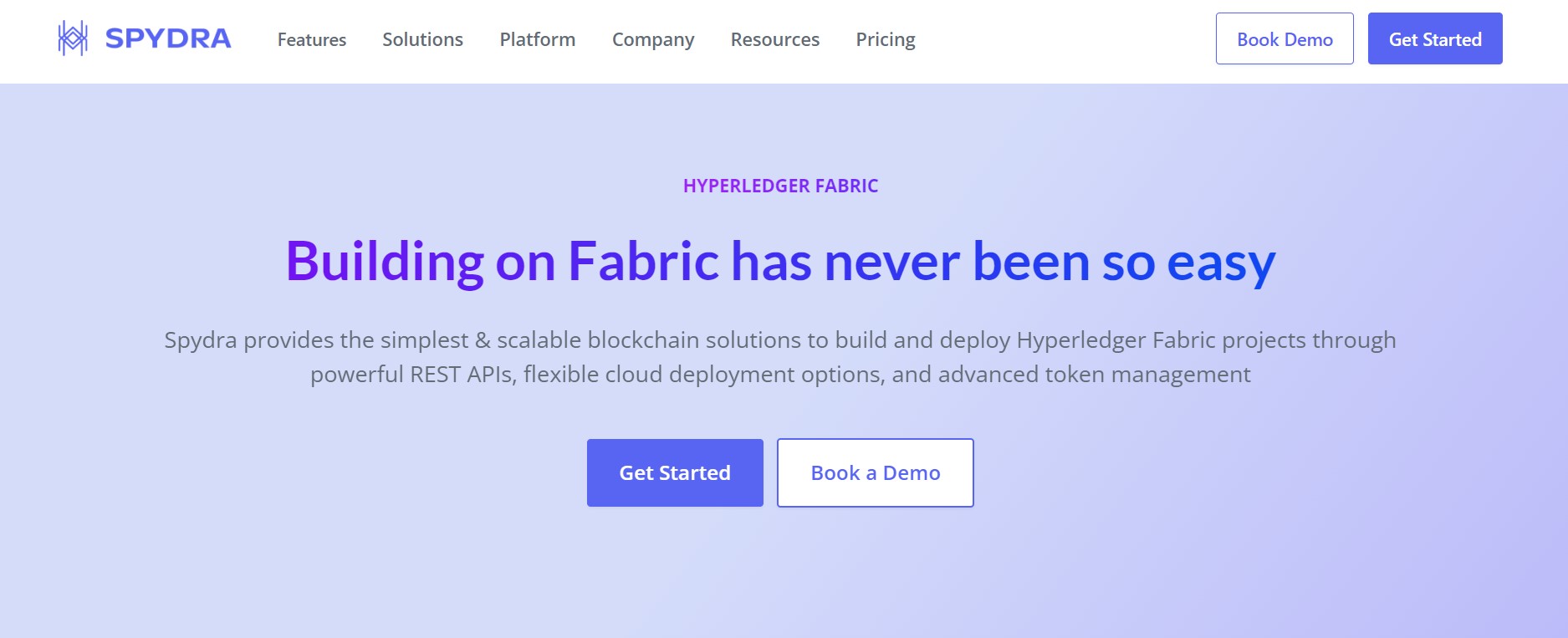 screenshot of Spydra