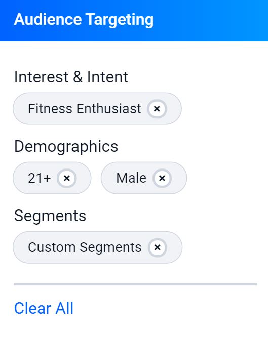 screenshot of StackAdapt