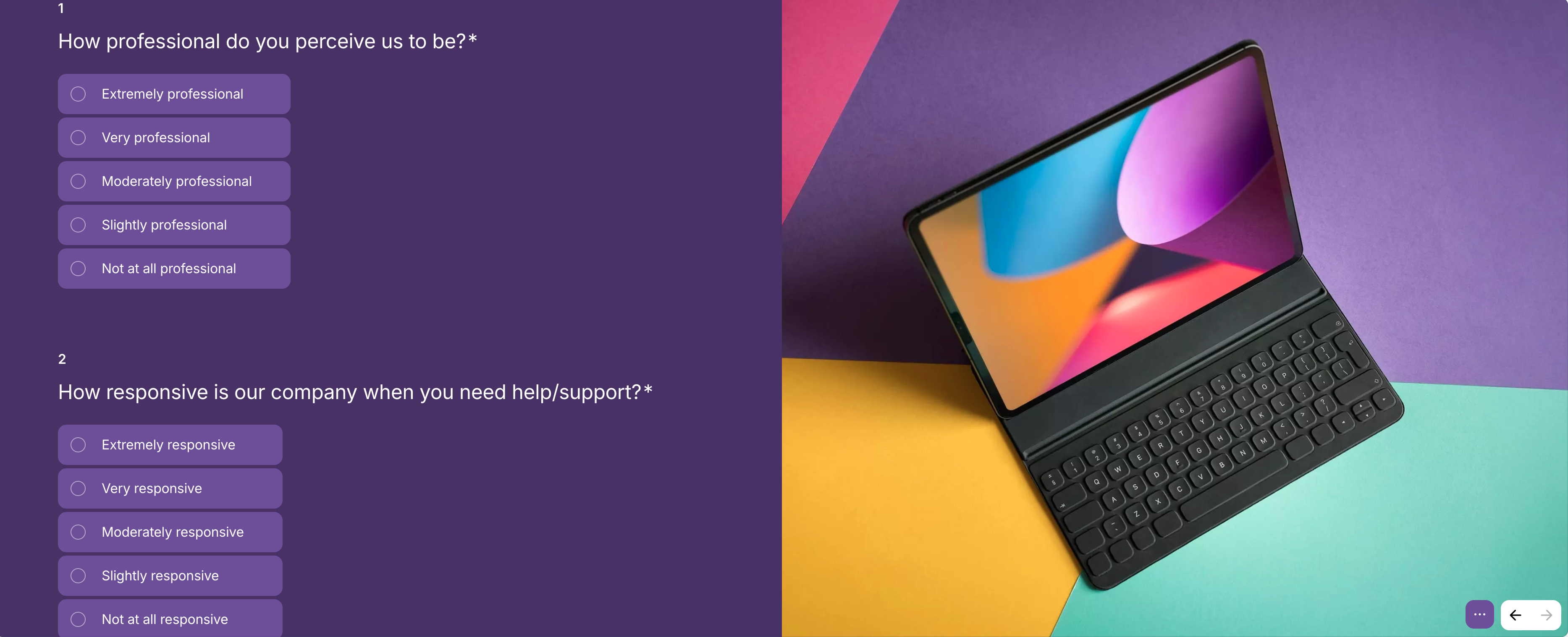 screenshot of Survio