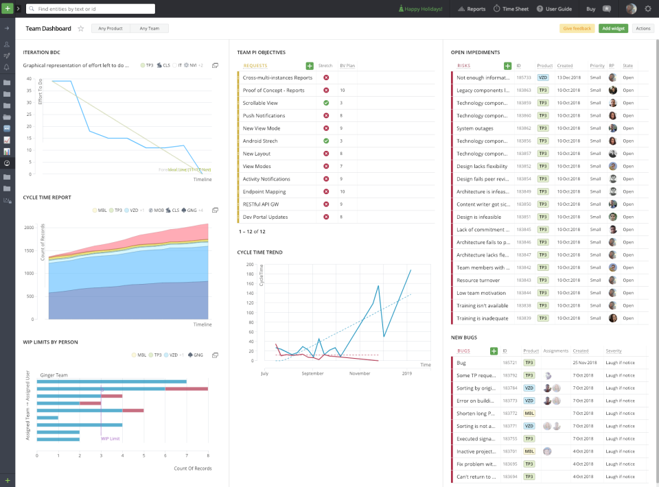 screenshot of Targetprocess