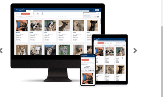 screenshot of Trackabeast