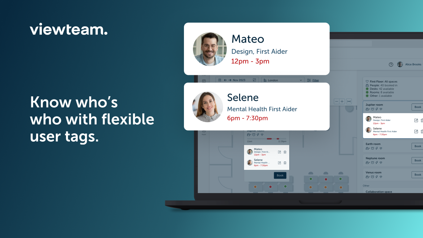 screenshot of Viewteam