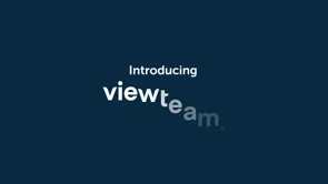 screenshot of Viewteam