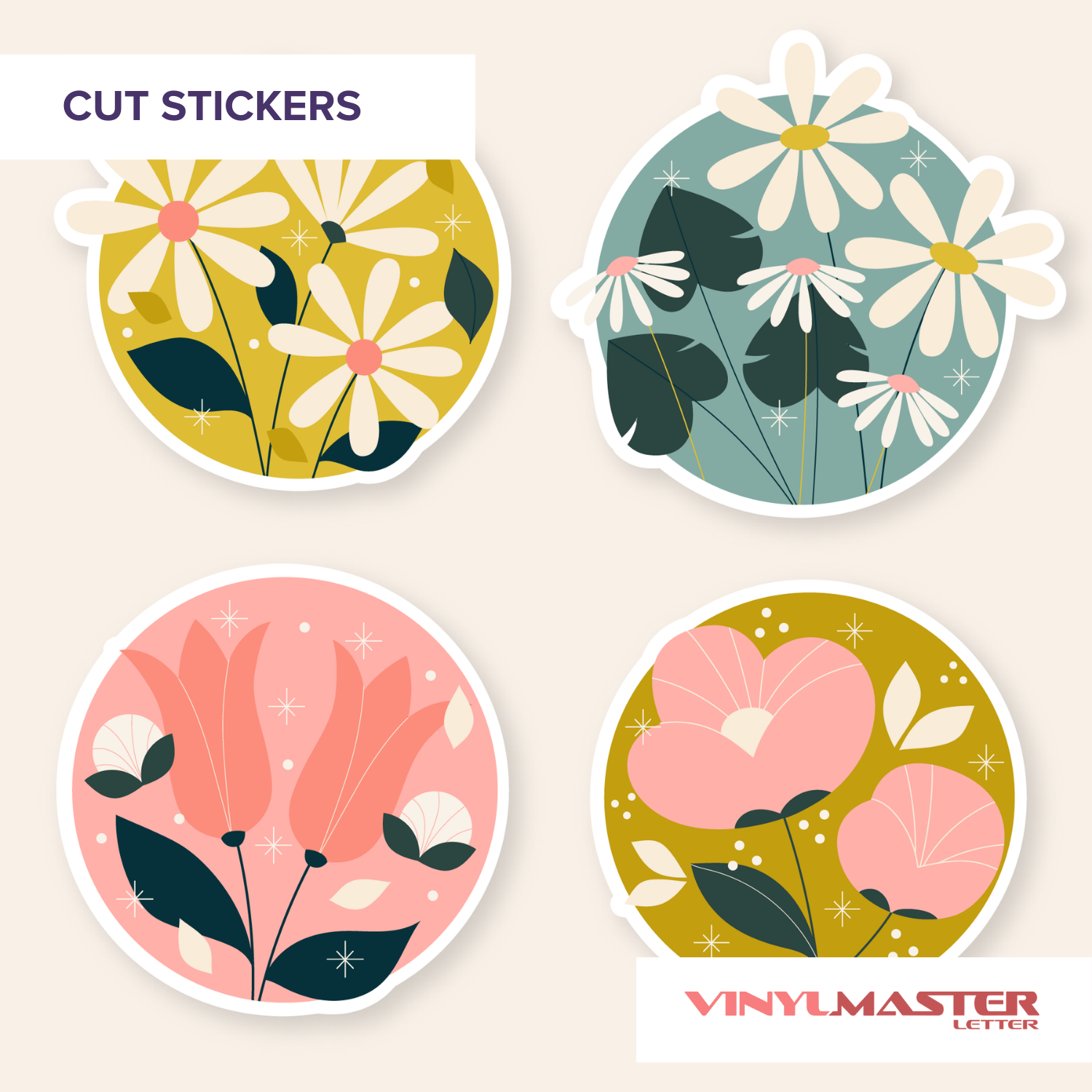 screenshot of VinylMaster