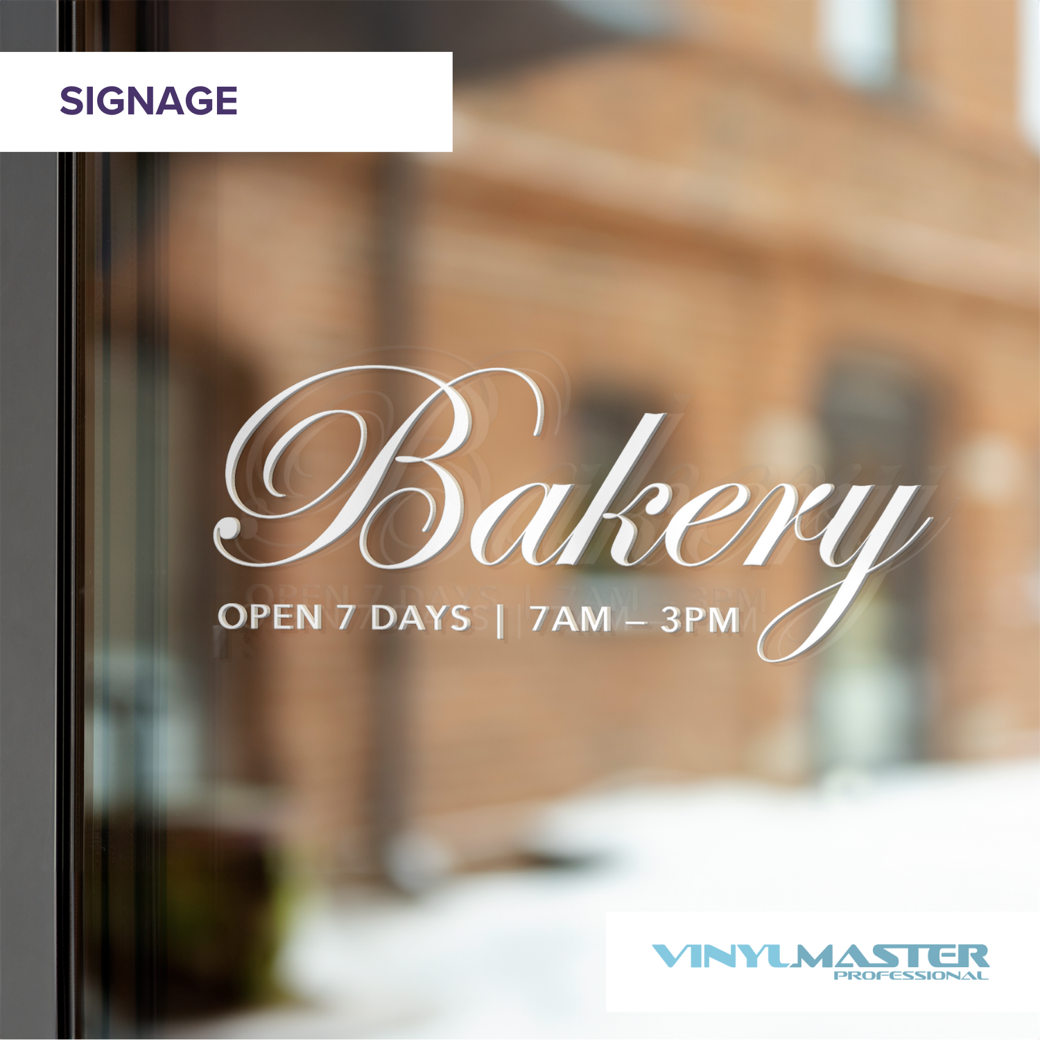 screenshot of VinylMaster