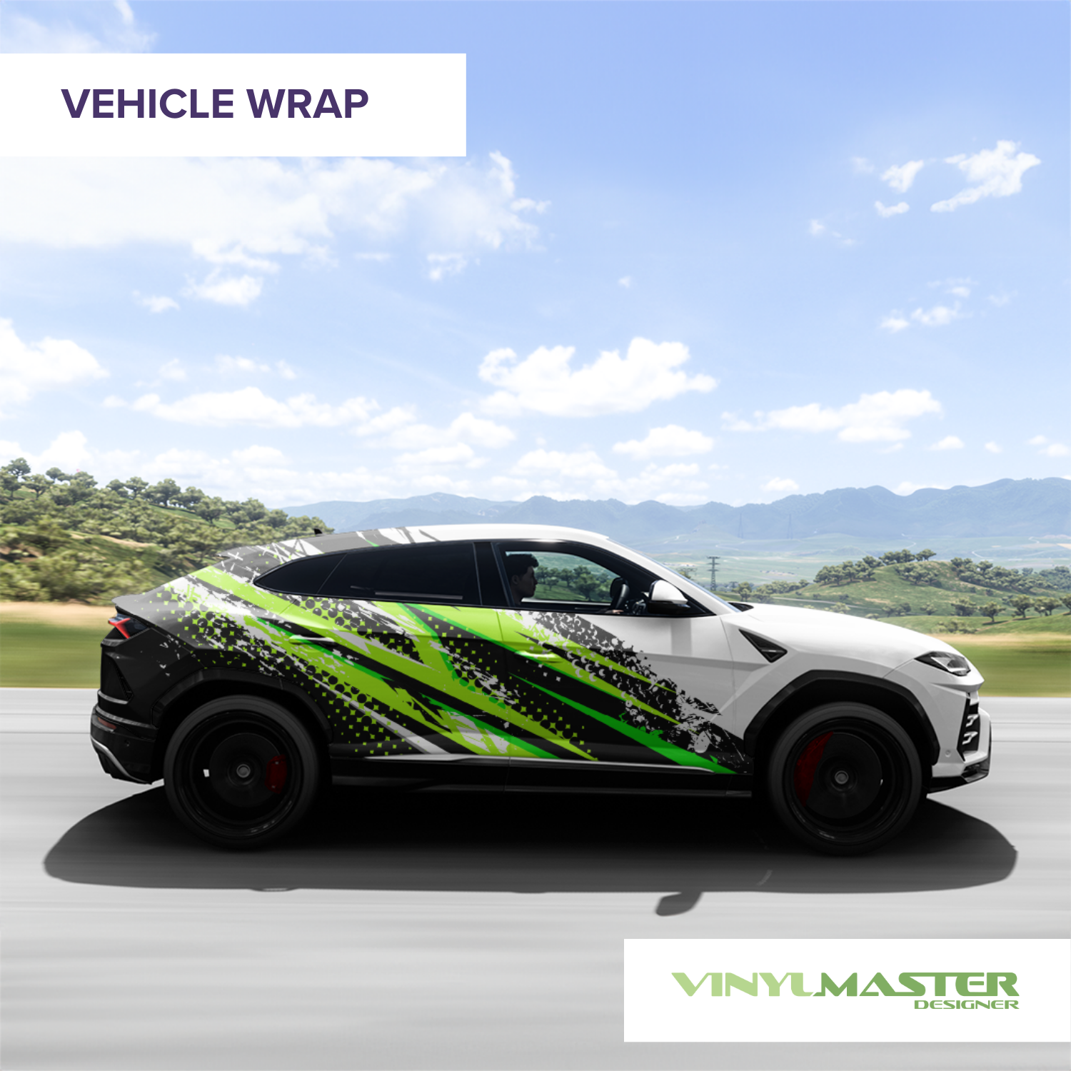 screenshot of VinylMaster