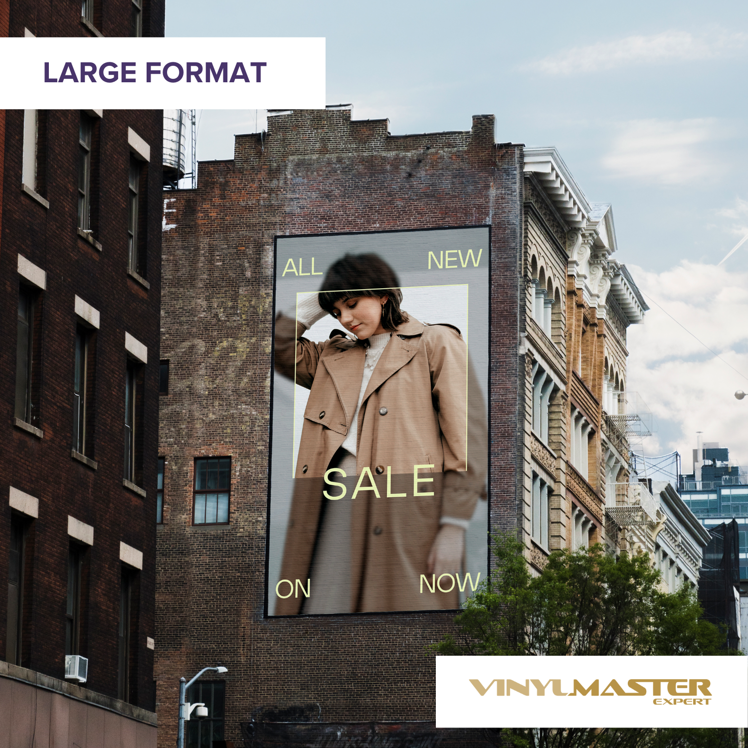 screenshot of VinylMaster