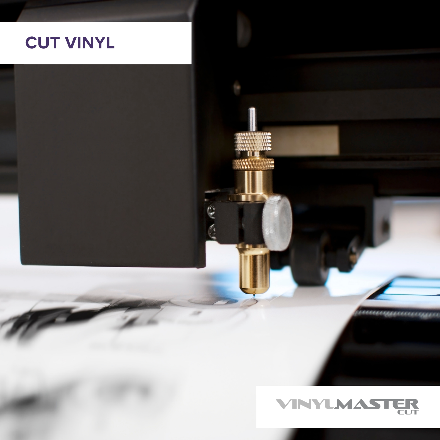 screenshot of VinylMaster