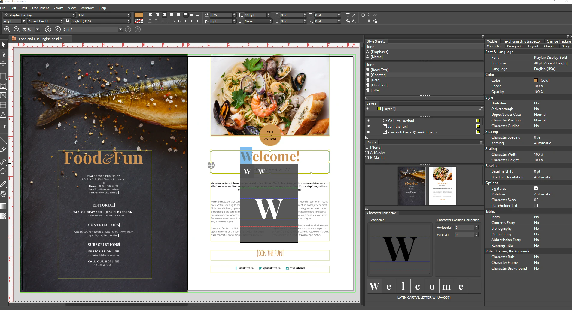screenshot of VivaDesigner
