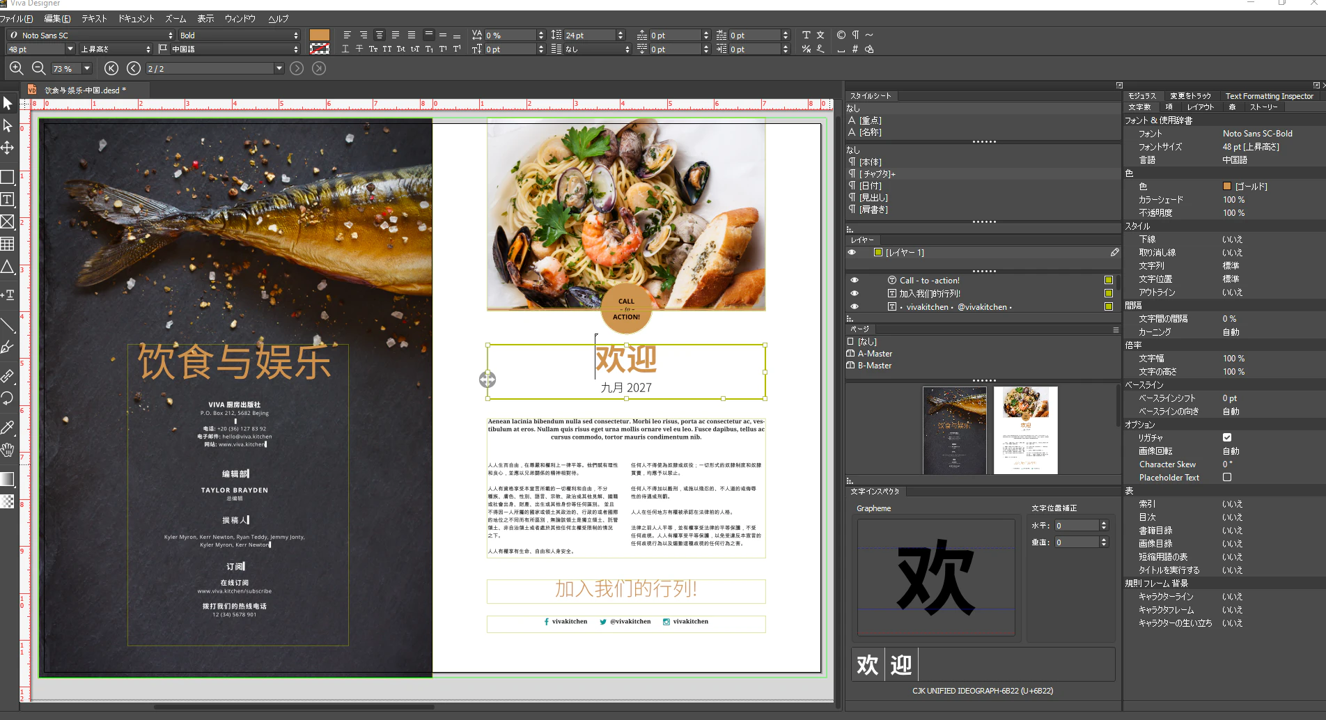 screenshot of VivaDesigner
