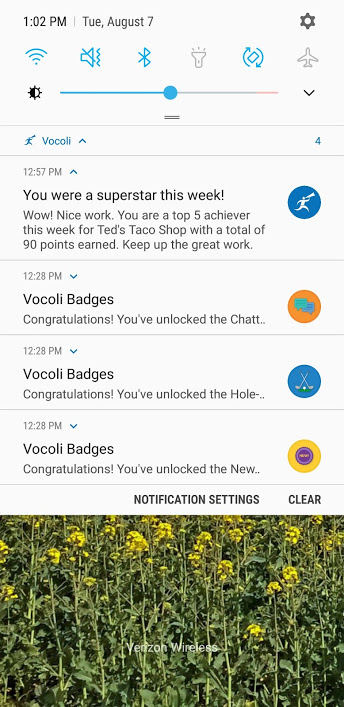 screenshot of Vocoli