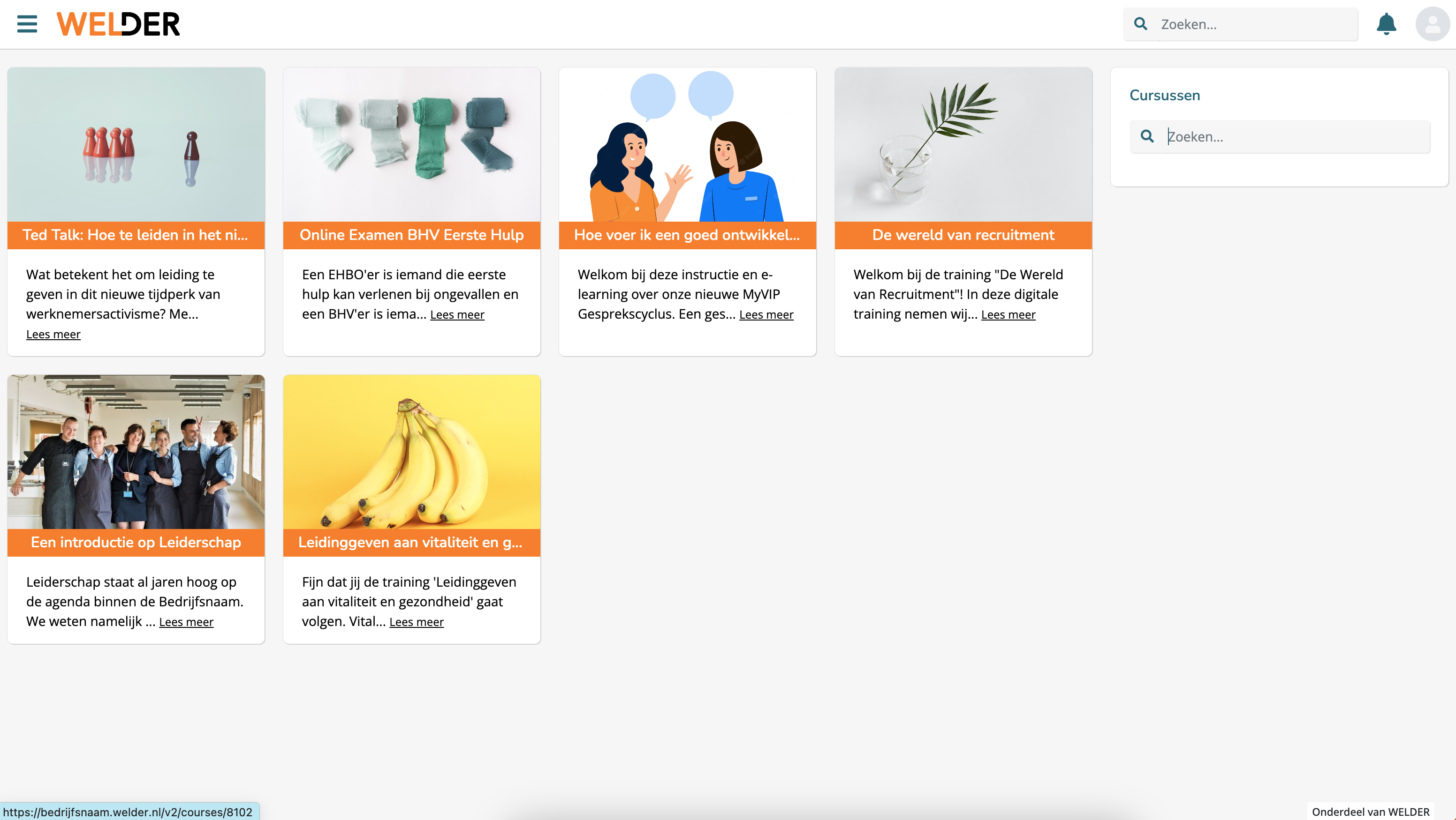 screenshot of WELDER