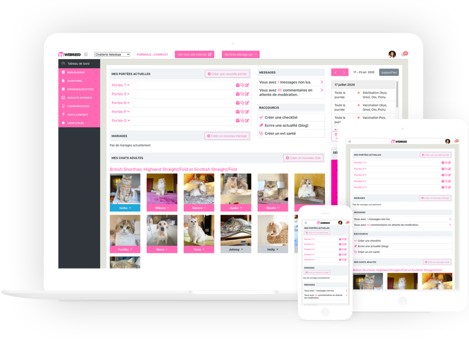 screenshot of Webreed