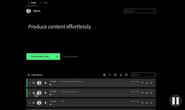 screenshot of WellSaid