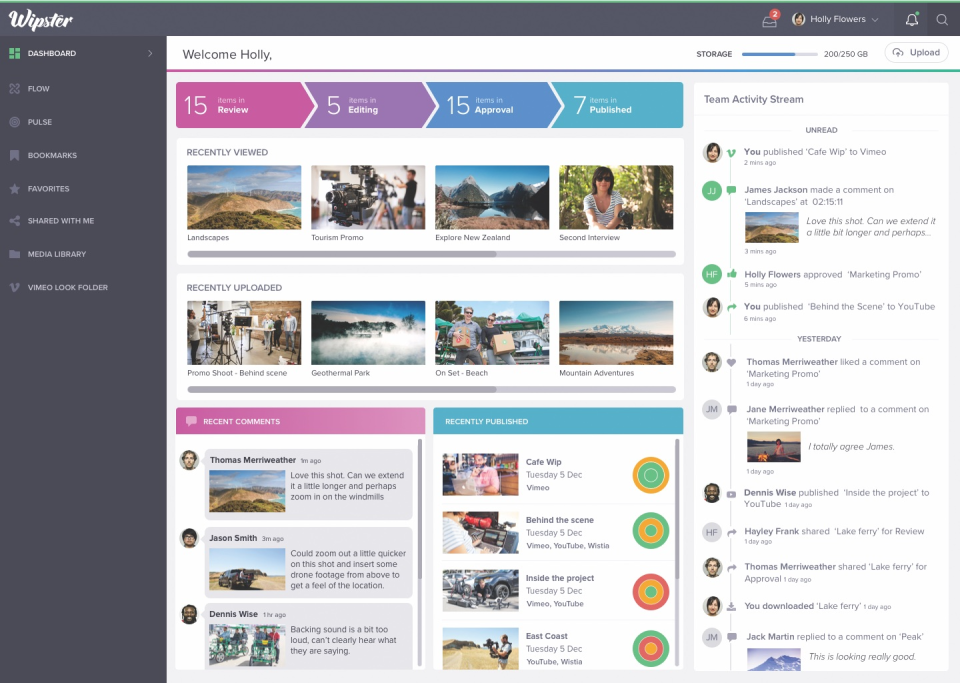 screenshot of Wipster
