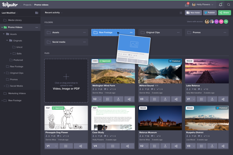 screenshot of Wipster