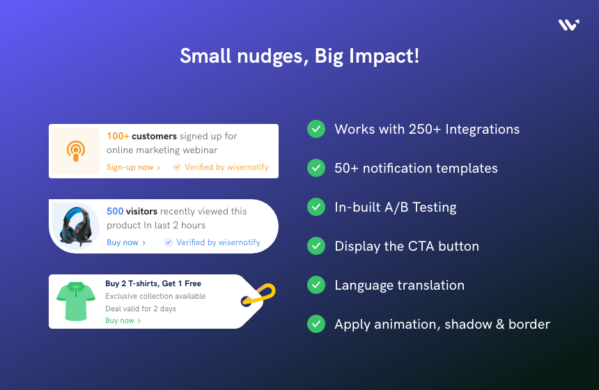 screenshot of WiserNotify