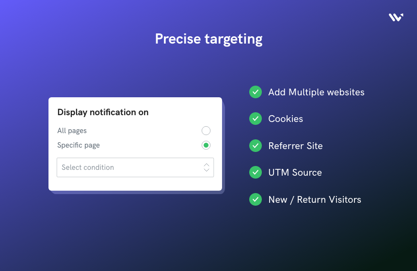 screenshot of WiserNotify