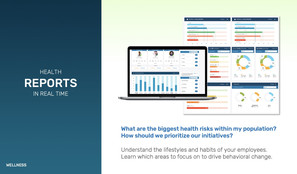 screenshot of Woliba