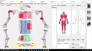 screenshot of WonderDoc