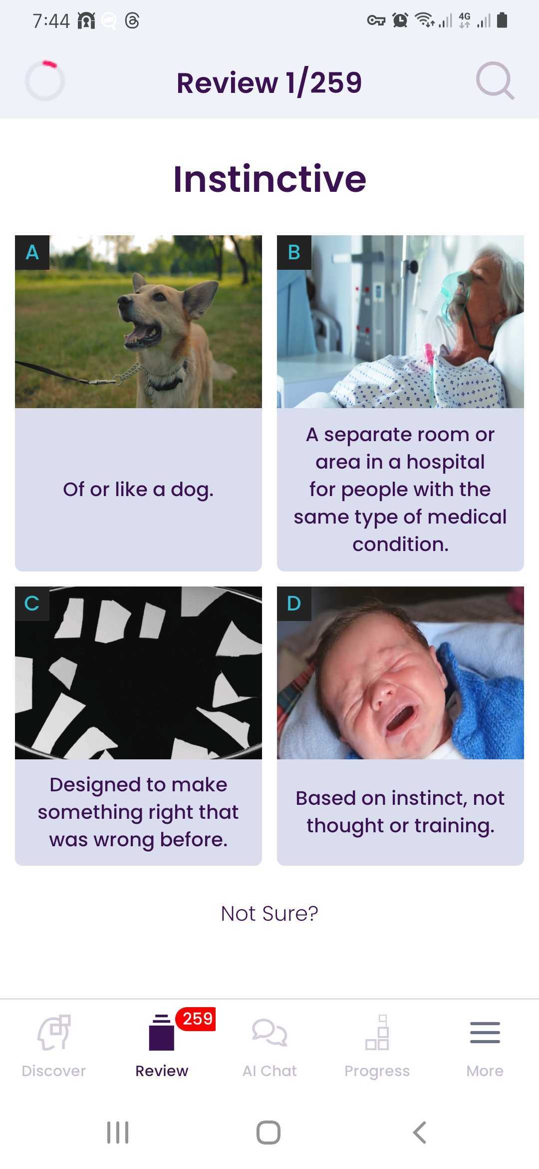 screenshot of WordUp