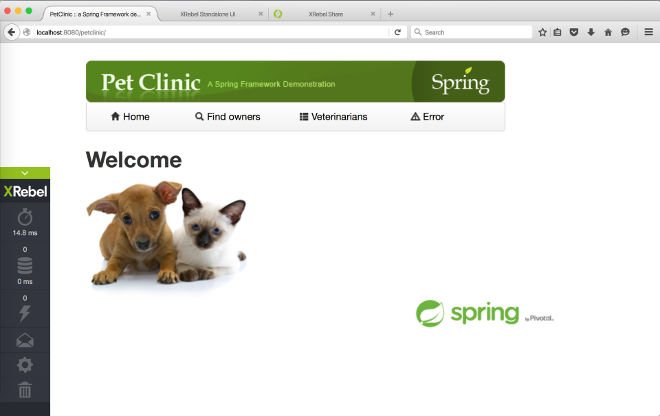 screenshot of XRebel