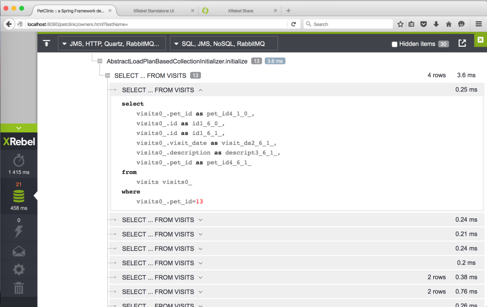 screenshot of XRebel