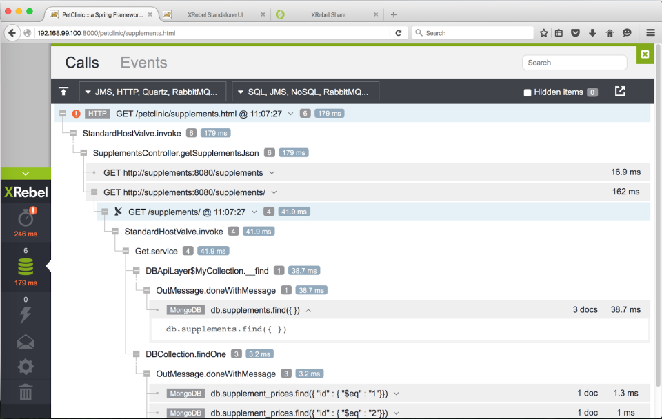 screenshot of XRebel