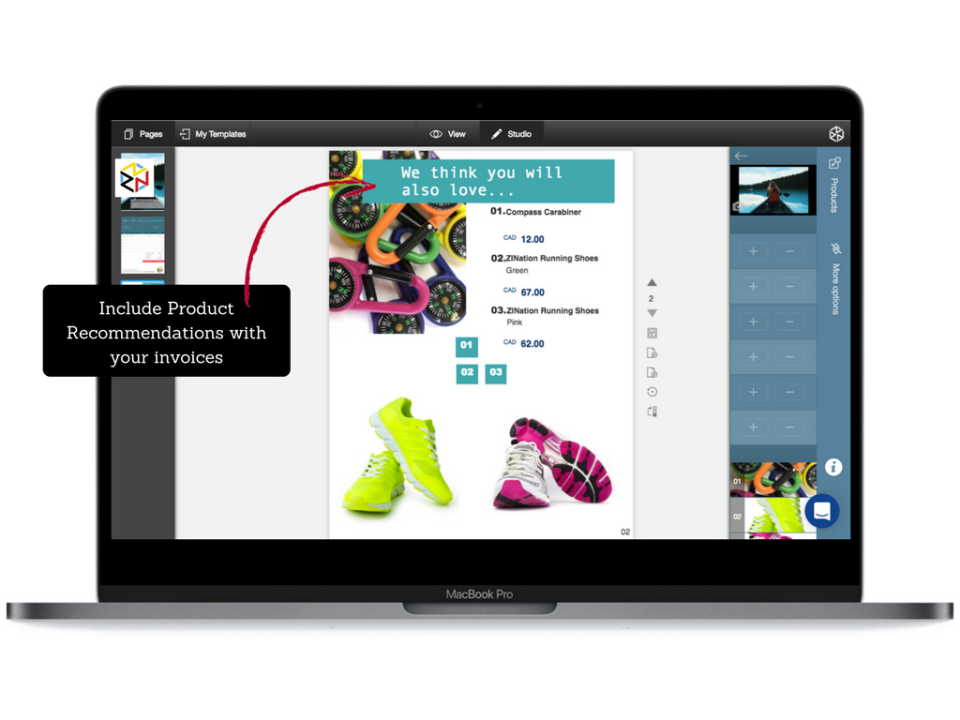 screenshot of ZINation