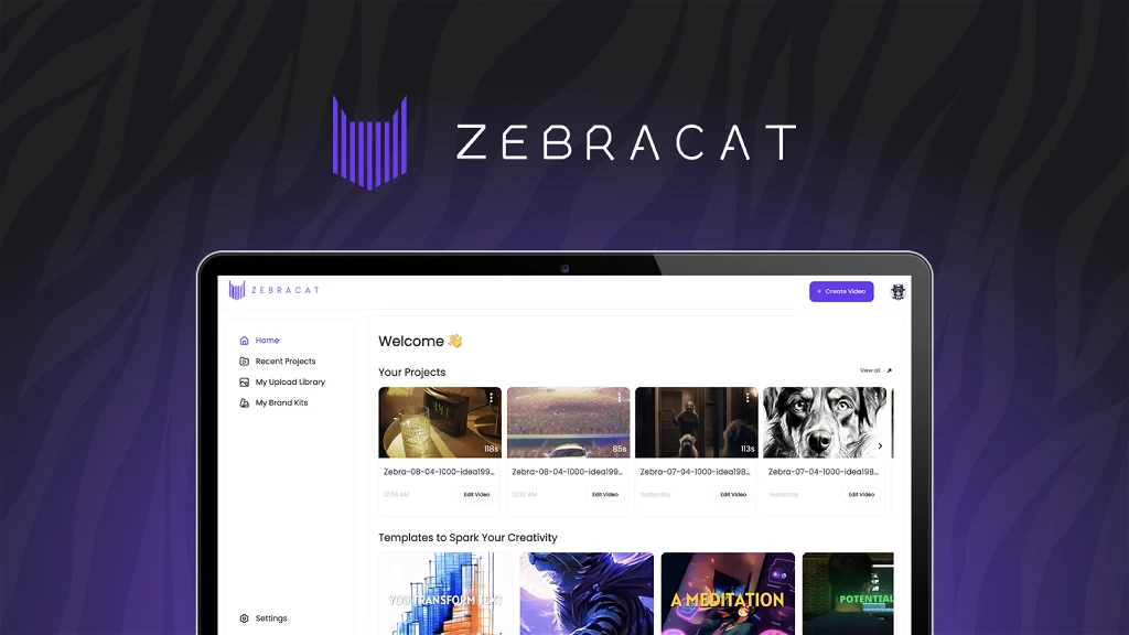 screenshot of Zebracat