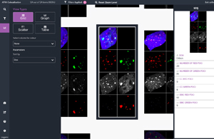 screenshot of Zegami