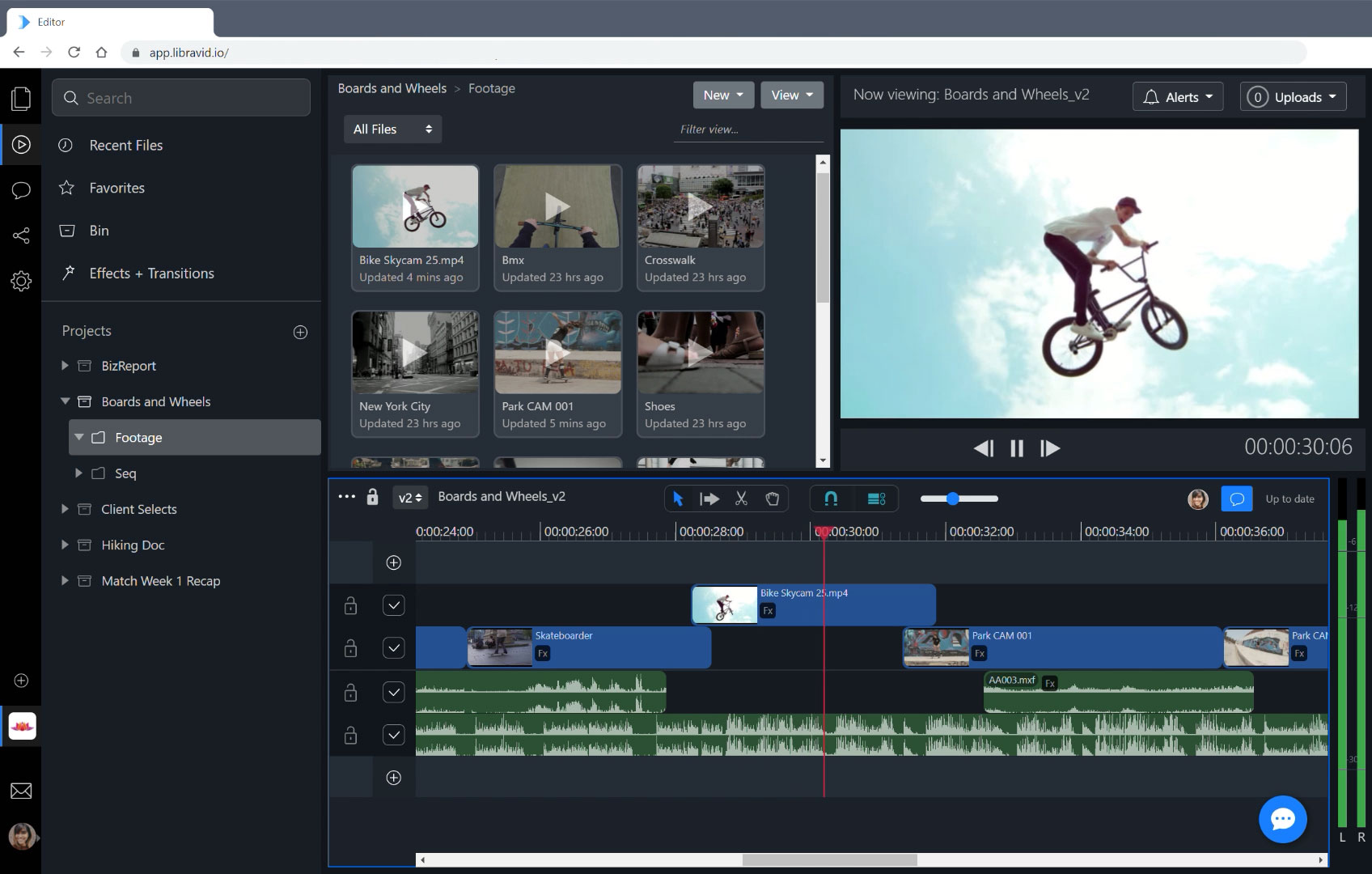screenshot of axledit