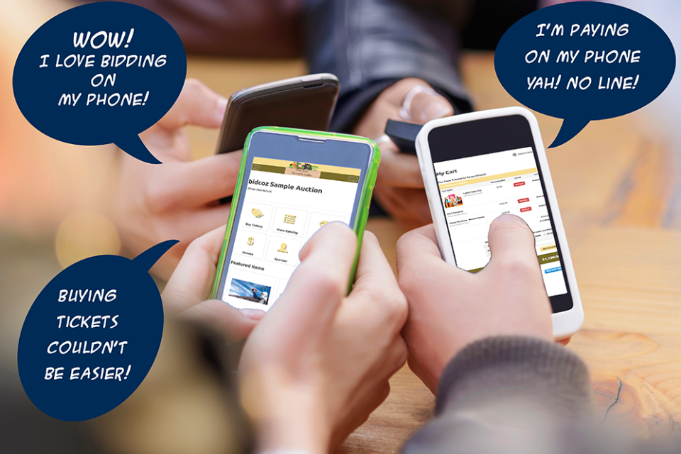 screenshot of bidcoz