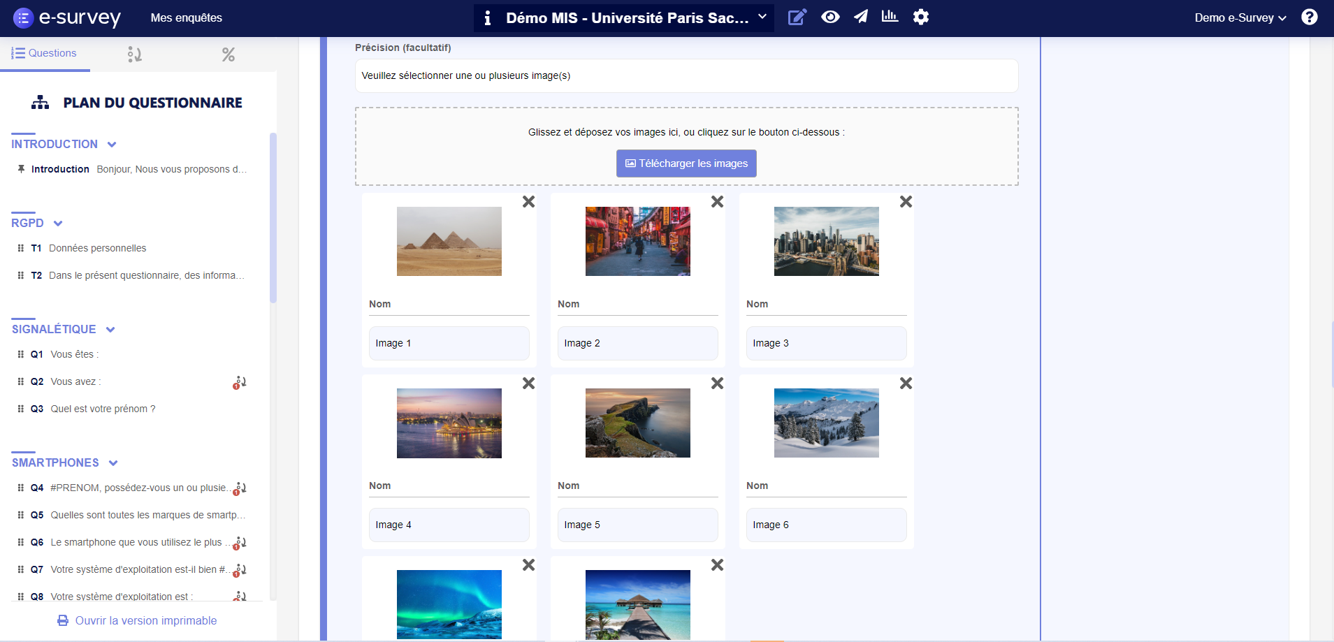 screenshot of e-Survey