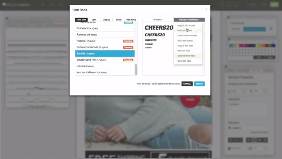 screenshot of eFlyerMaker