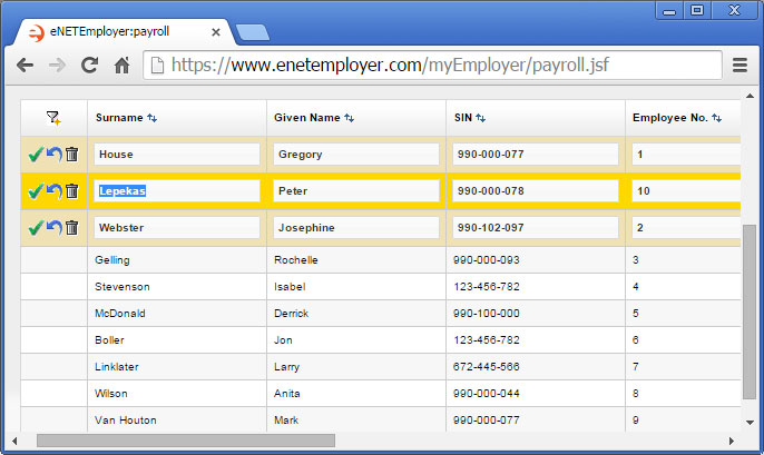 screenshot of eNETEmployer