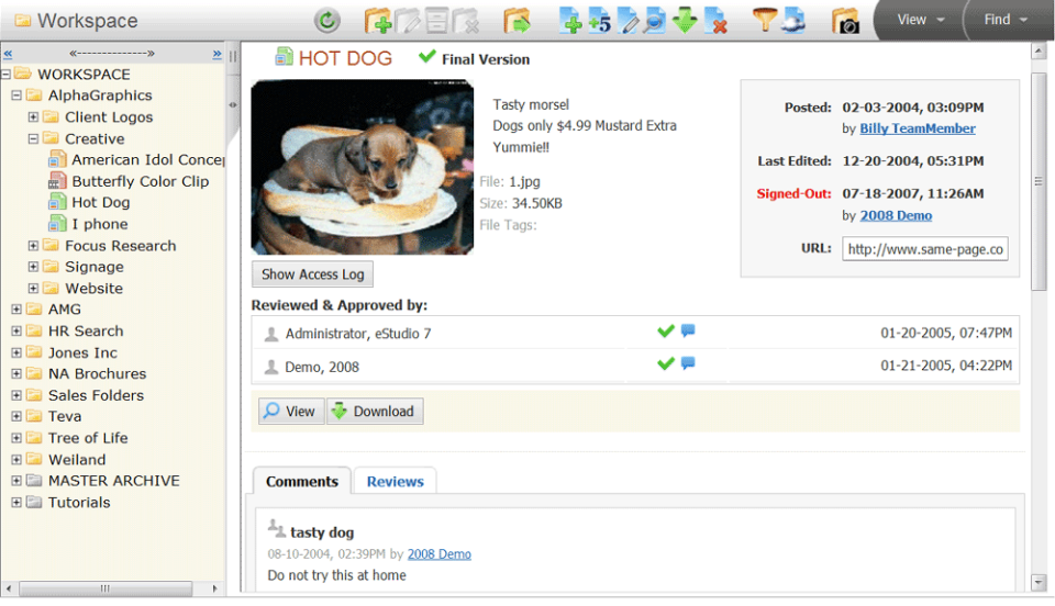 screenshot of eStudio