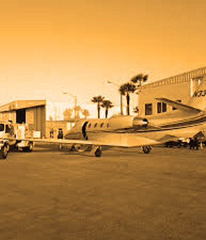 screenshot of essintaWINGS