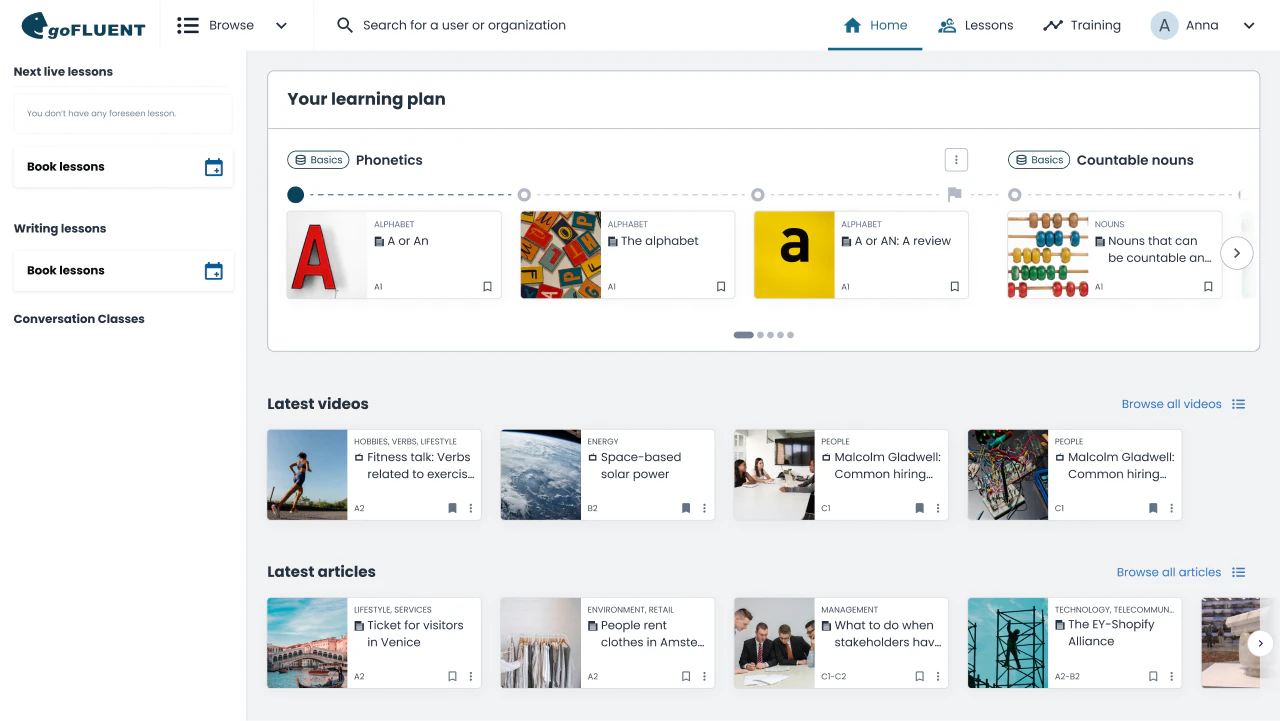 screenshot of goFLUENT