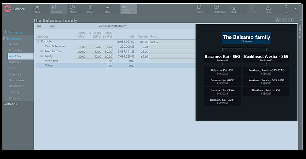 screenshot of iBalance