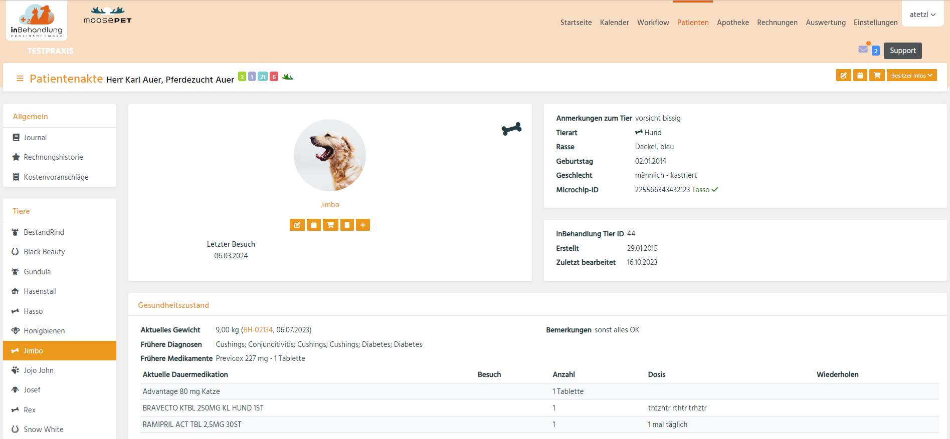 screenshot of inBehandlung