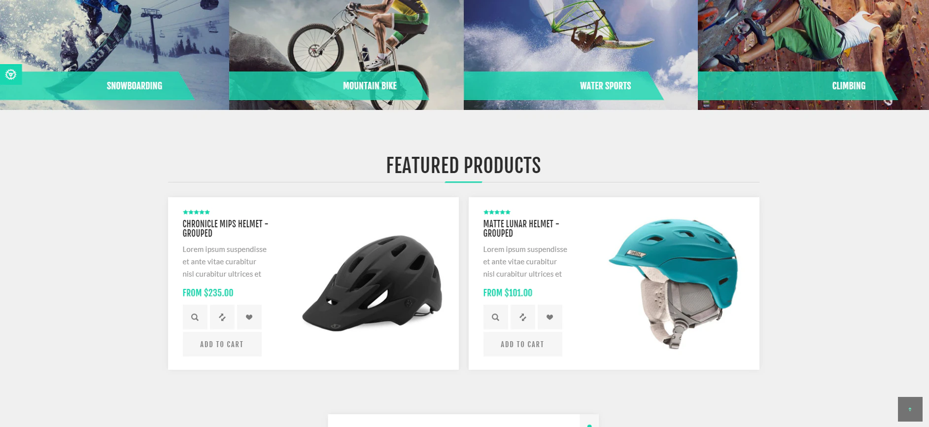 screenshot of nopCommerce