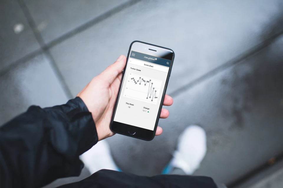 screenshot of rise.global