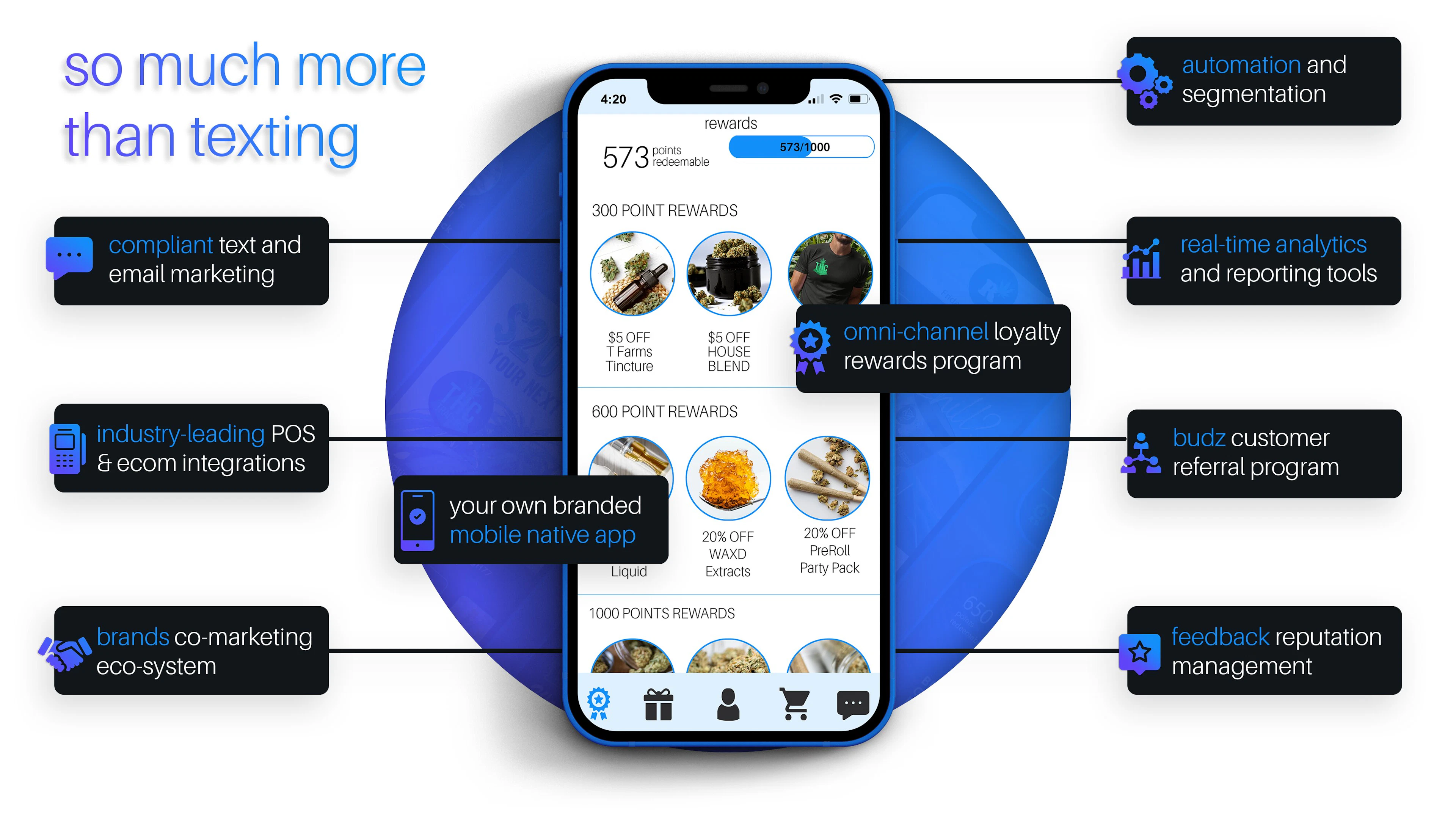 screenshot of springbig