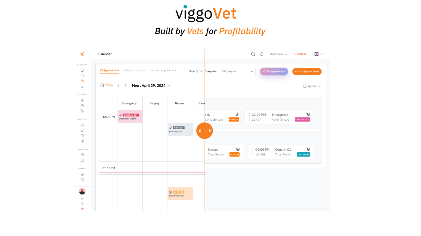 screenshot of viggoVet
