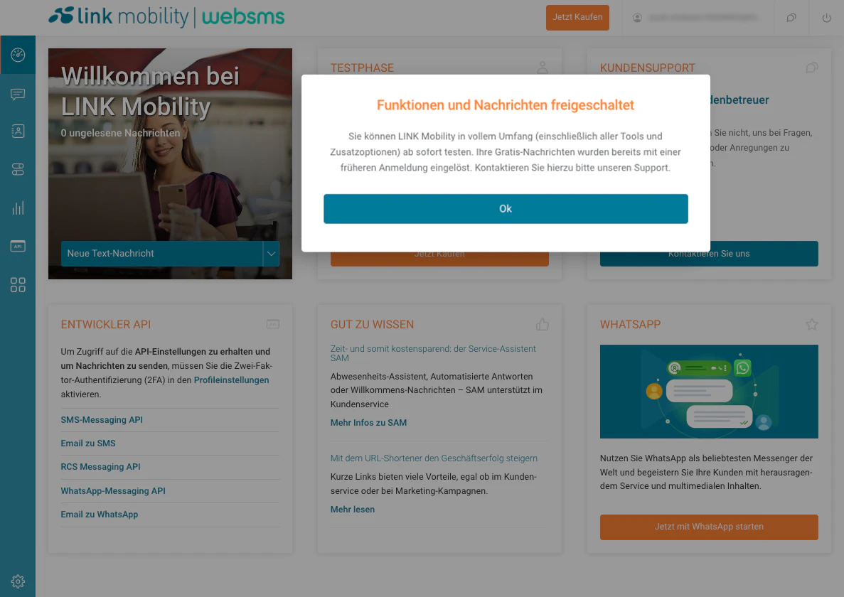 screenshot of websms